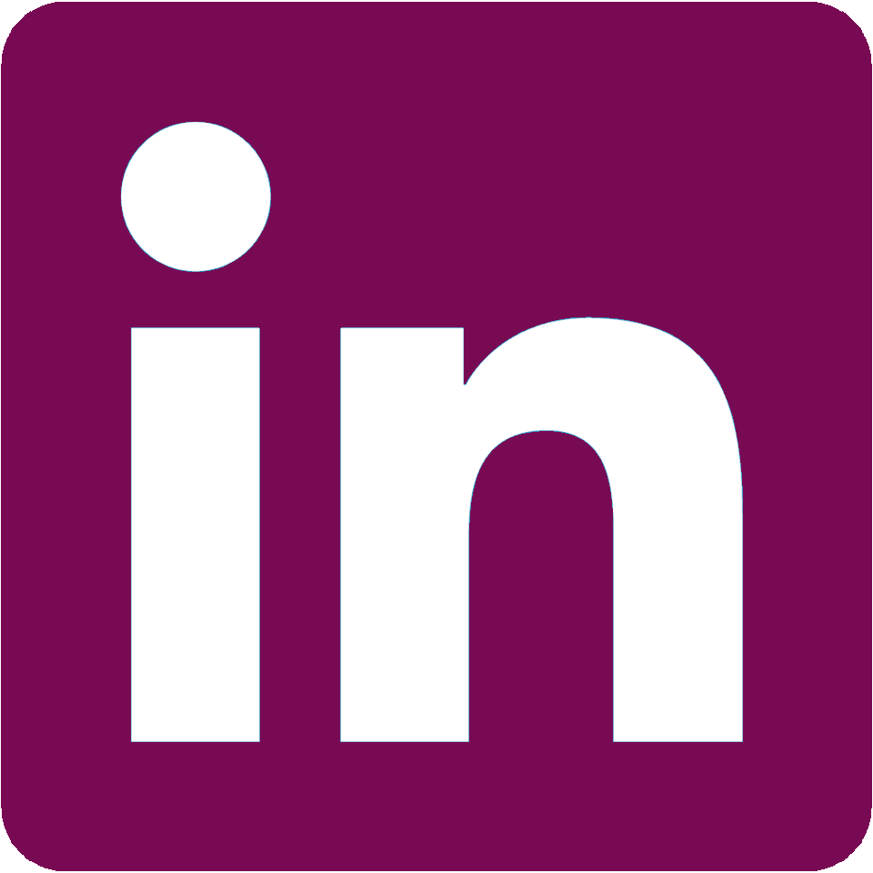 Icon linkedin